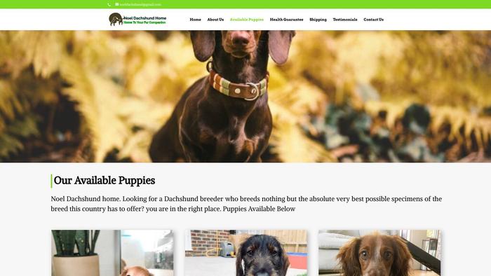 Noeldachshundhomes.com - Dachshund Puppy Scam Review