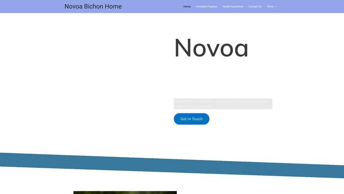 Novoabichonhome.com - Bichon Frise Puppy Scam Review