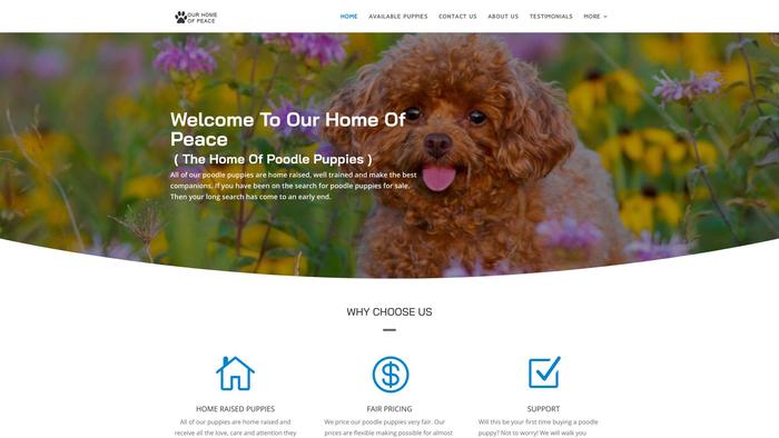 Ourhomeofpeace.com - Poodle Puppy Scam Review