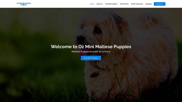 Ozminimaltesepuppies.com - Maltese Puppy Scam Review