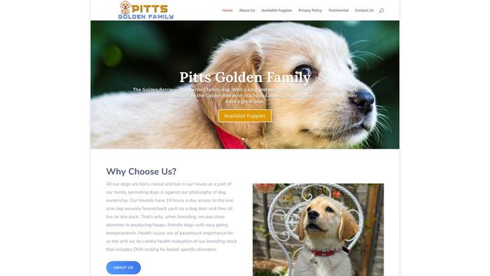 Pittsgoldenfamily.com - Golden Retriever Puppy Scam Review