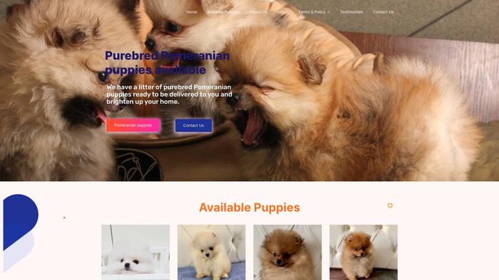 Pomeraniandolls.com - Pomeranian Puppy Scam Review