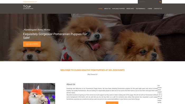 Pomeranianhome.com - Pomeranian Puppy Scam Review