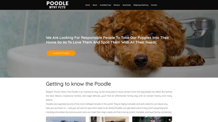 Poodleminipet.com - Poodle Puppy Scam Review