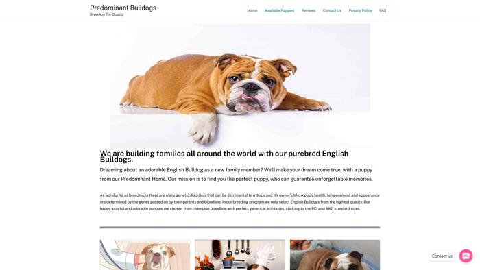 Predominantbulldogs.com - Bulldog Puppy Scam Review