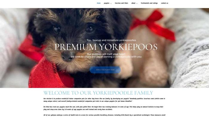 Premiumyorkiepoofamily.site - Poodle Puppy Scam Review