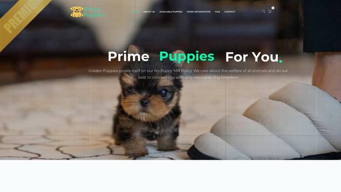 Primepupps.com - Yorkshire Terrier Puppy Scam Review