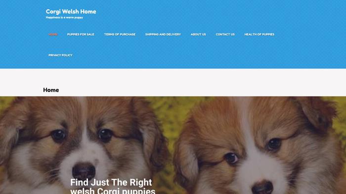 Procorgiwelshhome.com - Corgi Puppy Scam Review