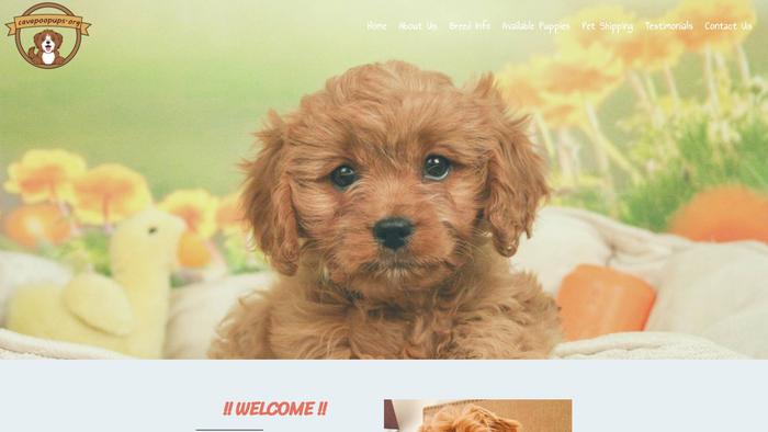 Puppycavapoo.com - Cavapoo Puppy Scam Review