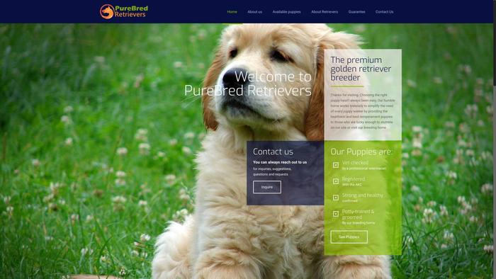 Purebredretrievers.com - Golden Retriever Puppy Scam Review