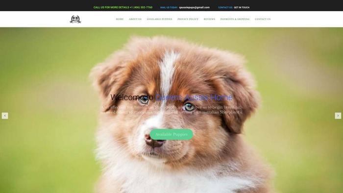 Queensaussiehome.com - Australian Shepherd Puppy Scam Review