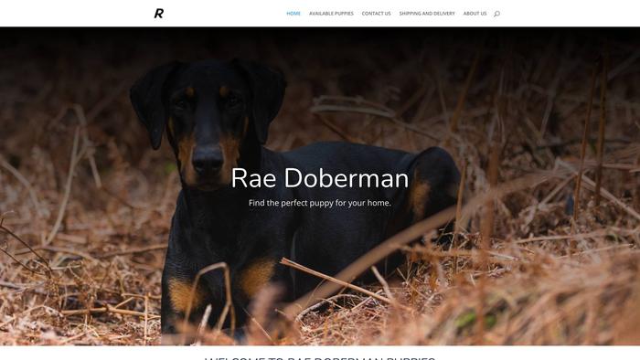 Raedoberman.com - Doberman Pinscher Puppy Scam Review