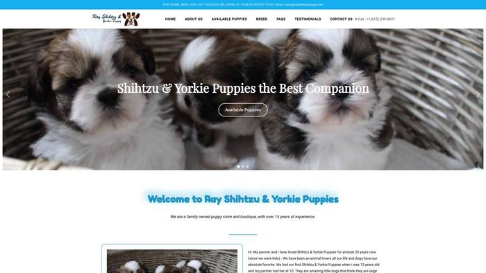 Rayshihtzupuppy.com - Shihtzu Puppy Scam Review