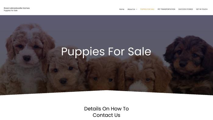 Rossilabradoodlehomes.com - Labradoodle Puppy Scam Review