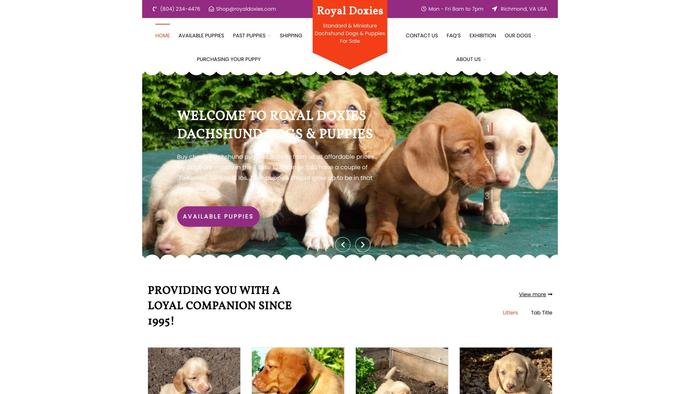 Royaldoxies.com - Dachshund Puppy Scam Review