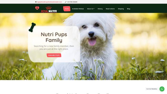 Royalmaltesebreeder.com - Maltese Puppy Scam Review