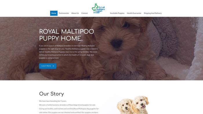 Royalteacuppuppi.com - Yorkshire Terrier Puppy Scam Review