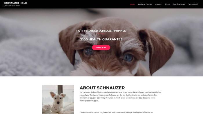 Schnauzerhome.com - Schnauzer Puppy Scam Review