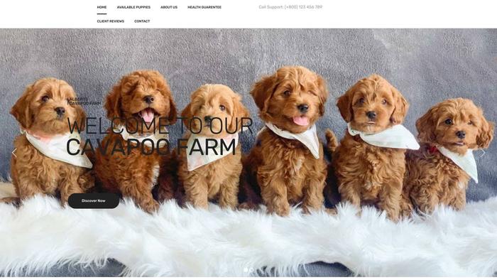 Scoticavapoohome.com - Cavapoo Puppy Scam Review