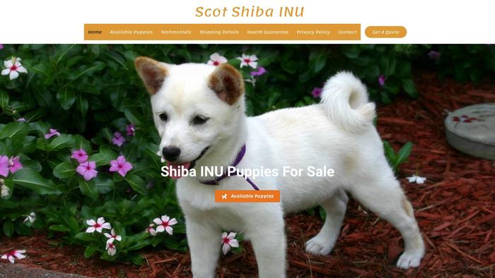 Scotshibainu.com - Shibhainu Puppy Scam Review