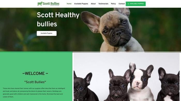 Scottbullies.com - Bulldog Puppy Scam Review