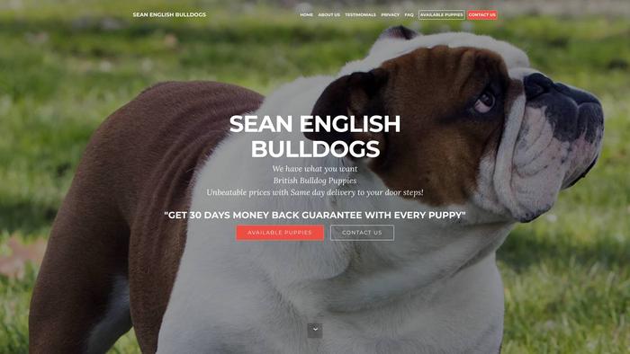 Seanegnlishbulldogs.com - English Bulldog Puppy Scam Review