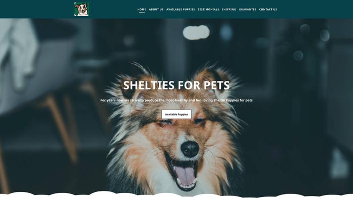 Sheltie4pets.com - Australian Shepherd Puppy Scam Review