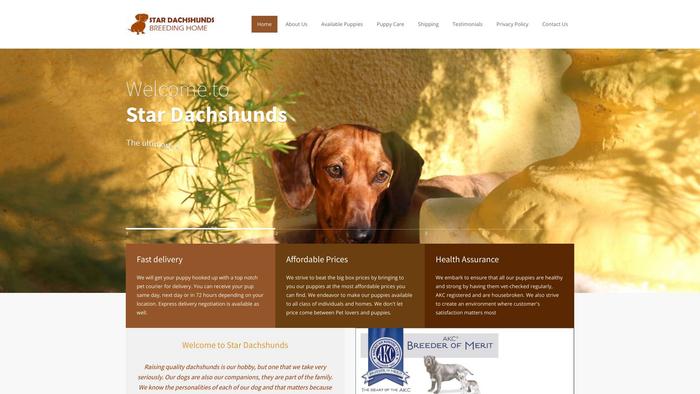 Stardachshunds.com - Dachshund Puppy Scam Review