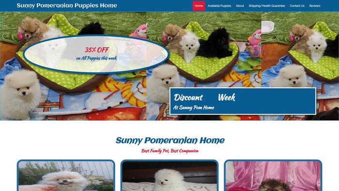 Sunnypomeranianpuppies.com - Pomeranian Puppy Scam Review