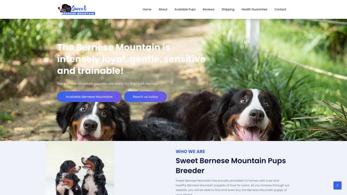 Sweetbernesemountainpuppies.us - Bernese Mountain Dog Puppy Scam Review