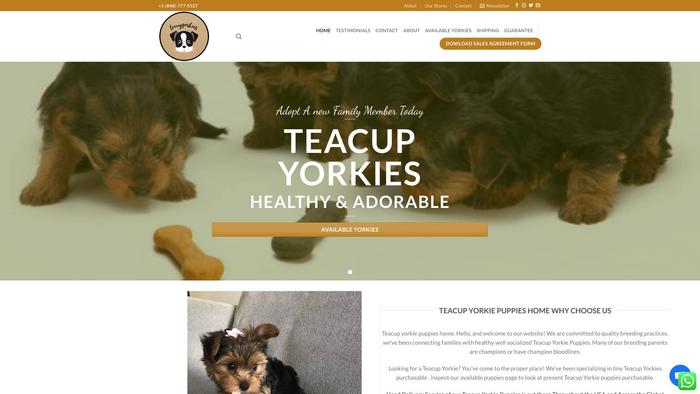 Tcupyorkies.life - Yorkshire Terrier Puppy Scam Review