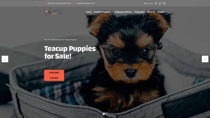 Teacuphome.com - Yorkshire Terrier Puppy Scam Review