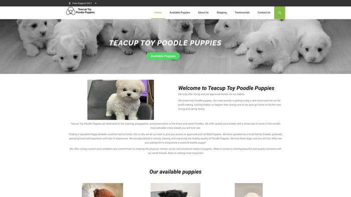 Teacuptoypoodlepuppies.com - Poodle Puppy Scam Review