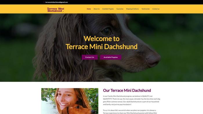 Terraceminidachshund.com - Dachshund Puppy Scam Review