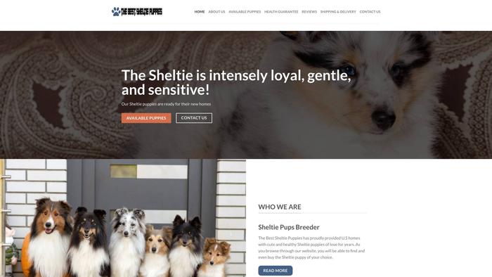 Thebestsheltiepuppies.com - Australian Shepherd Puppy Scam Review