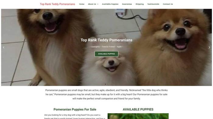 Toprankteddypomeranians.com - Pomeranian Puppy Scam Review