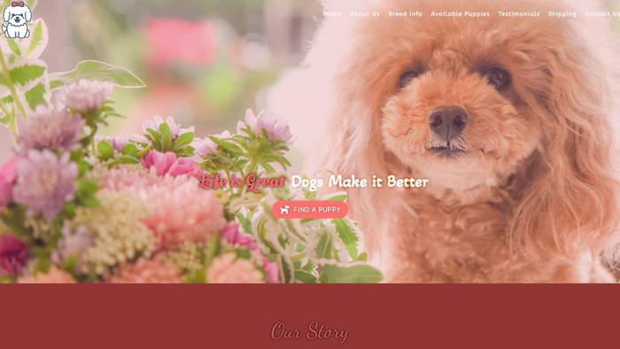 Toypoodlegarden.com - Poodle Puppy Scam Review