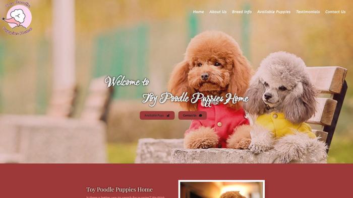 Toypoodlepuppieshome.com - Poodle Puppy Scam Review