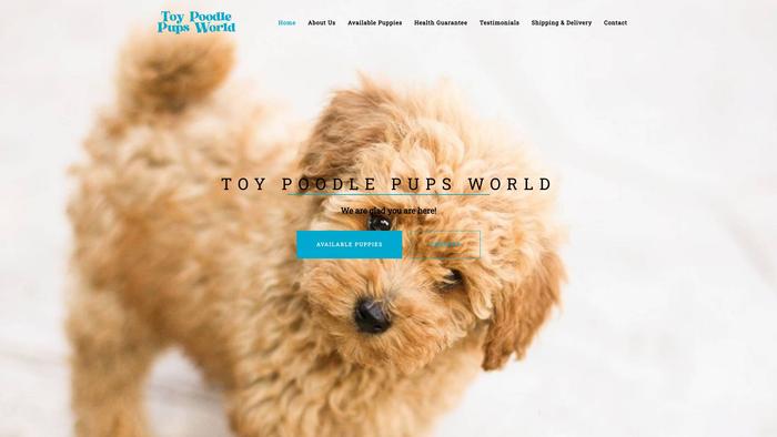 Toypoodlepupsworld.com - Poodle Puppy Scam Review