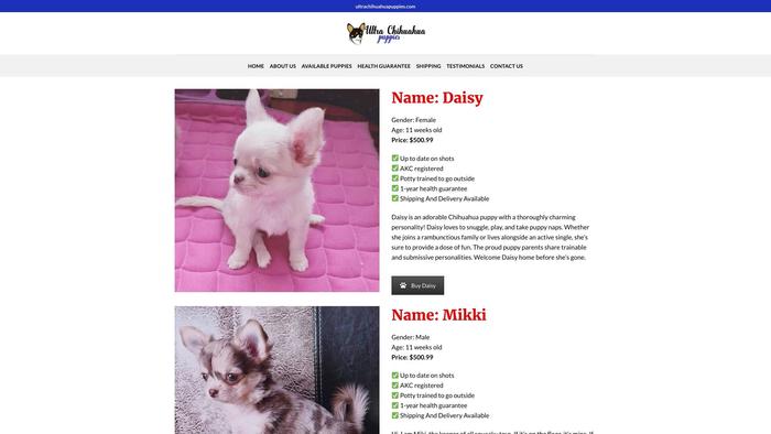 Ultrachihuahuapuppies.com - Chihuahua Puppy Scam Review