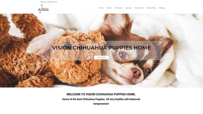 Visionchihuahuas.com - Chihuahua Puppy Scam Review