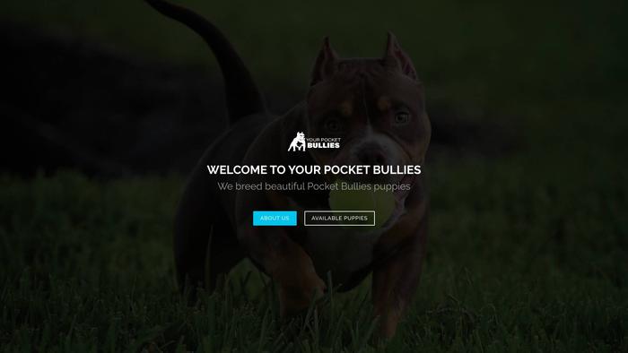 Yourpocketbullies.com - English Bulldog Puppy Scam Review