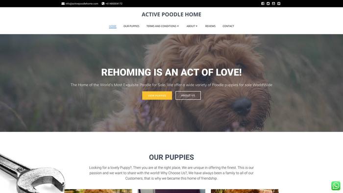 Activepoodlehome.com - Poodle Puppy Scam Review