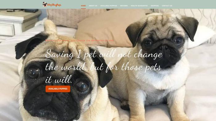 Adoptpugpups.com - Pug Puppy Scam Review