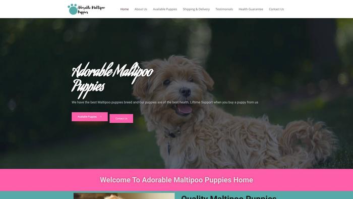 Adorablemaltipoopuppies.us - Maltipoo Puppy Scam Review