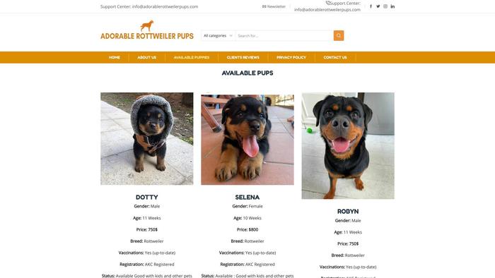 Adorablerottweilerpups.com - Rottweiler Puppy Scam Review