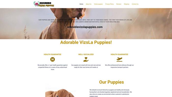 Adorablevizslapuppies.com - Labrador Puppy Scam Review