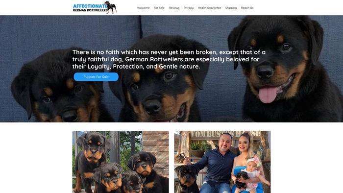 Affectionategermanrottweilers.com - Germanshepherd Puppy Scam Review