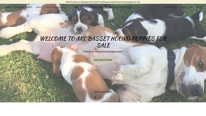 Akcregisteredbassethoundshome.com - Bassethound Puppy Scam Review