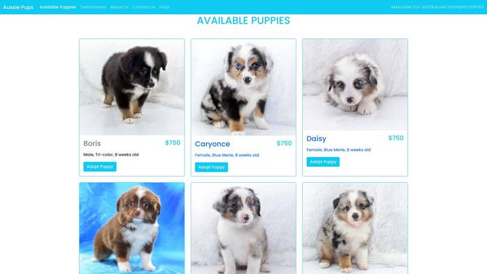 Amalgampups.com - Australian Shepherd Puppy Scam Review